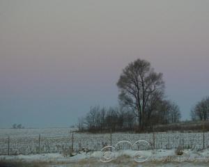Winter Farmland