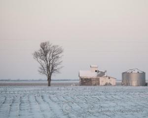 Winter Farm