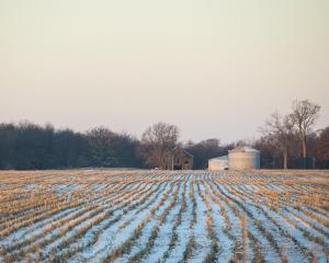 Bashful Barn