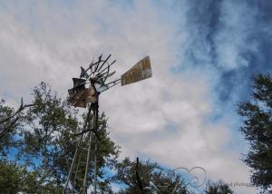 Windmill Perspective