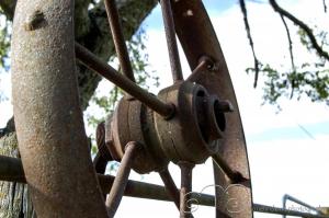 Wheel through Time